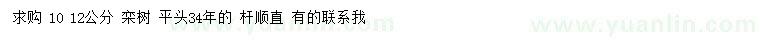 求購10、12公分欒樹 