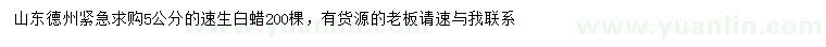 求購5公分速生白蠟