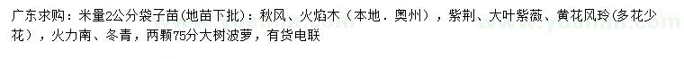 求購秋楓、火焰木、紫荊等