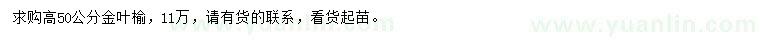 求購(gòu)高50公分金葉榆
