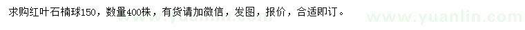 求購150公分紅葉石楠球