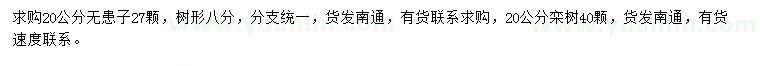 求購(gòu)20公分無(wú)患子、欒樹