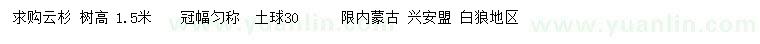 求購高1.5米云杉