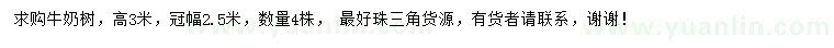 求購高3米牛奶樹