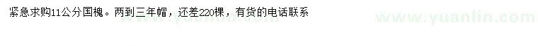 求購11公分國槐