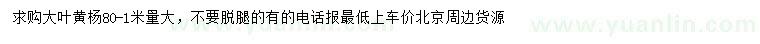 求購80-100公分大葉黃楊