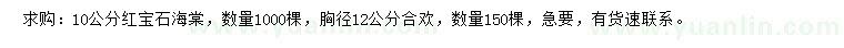 求購10公分紅寶石海棠、胸徑12公分合歡