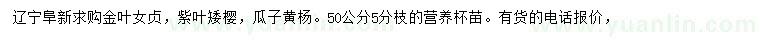 求購金葉女貞、紫葉矮櫻、瓜子黃楊等