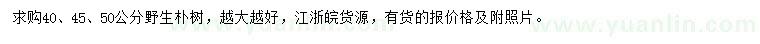 求購40、45、50公分野生樸樹