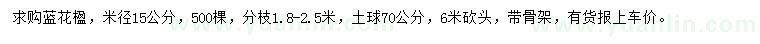 求購米徑15公分藍(lán)花楹