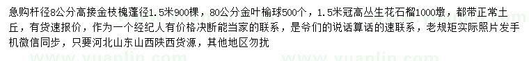 求購高接金枝槐、金葉榆球、叢生花石榴樹等