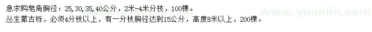 求購胸徑25、30、35、40公分皂角、高8米以上叢生蒙古櫟