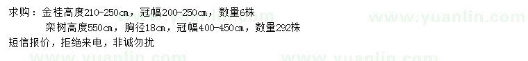 求購高210-250公分金桂、550公分欒樹