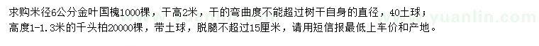 求購米徑6公分金葉國槐、高1-1.3米千頭柏