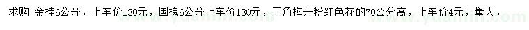 求購金桂、國槐、三角梅等