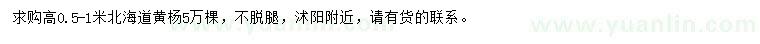求購高0.5-1米北海道黃楊