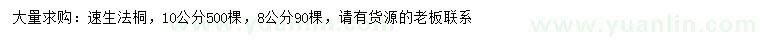 求購8、10公分速生法桐