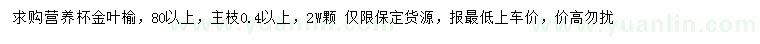求購80公分以上金葉榆