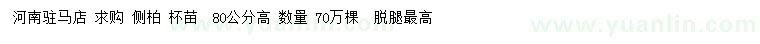 求購高80公分側柏