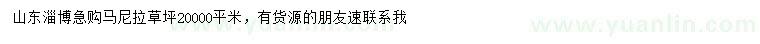 求購馬尼拉草坪