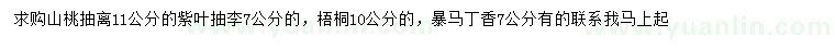 求購山桃稠李、紫葉稠李、梧桐等