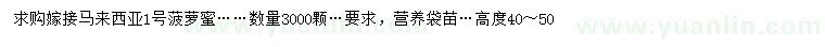 求購高40-50公分馬來西亞1號菠蘿蜜