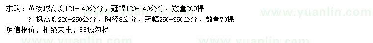求購高121-140公分黃楊球、220-250公分紅楓