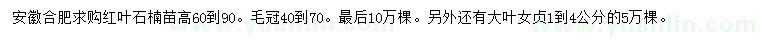 求購高60-90公分紅葉石楠