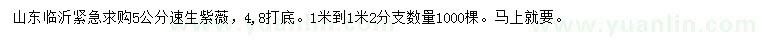 求購5公分速生紫薇
