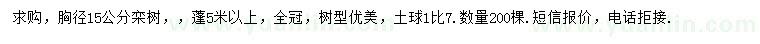 求購胸徑15公分欒樹