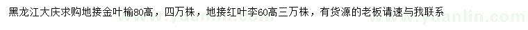 求購(gòu)高80公分地接金葉榆、60公分地接紅葉李