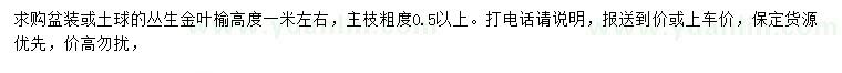 求購高1米叢生金葉榆