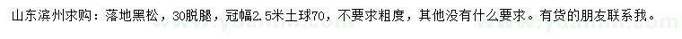 求購(gòu)冠幅2.5米黑松