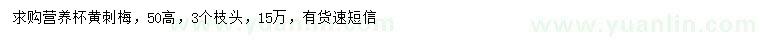 求購(gòu)高50公分黃刺梅