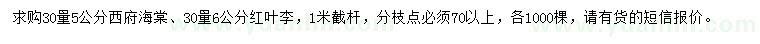 求購30量5公分西府海棠、30量6公分紅葉李