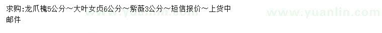 求購(gòu)龍爪槐、大葉女貞、紫薇等