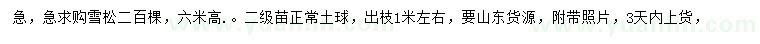 求購(gòu)高6米雪松