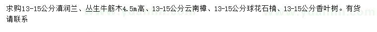 求購滇潤楠、牛筋木、云南樟等