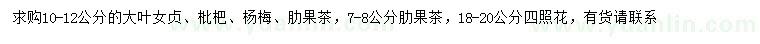 求購大葉女貞、枇杷樹、楊梅樹等