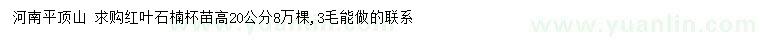 求購高20公分紅葉石楠