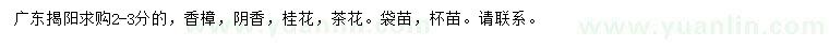 求購香樟、陰香、桂花等