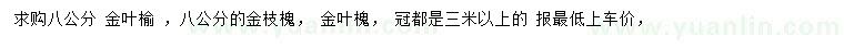 求購(gòu)金葉榆、金枝槐、金葉槐等