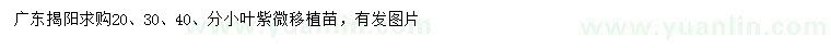 求購(gòu)20、30、40公分小葉紫薇