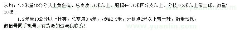 求購1.2米量10公分以上黃金槐、杜英