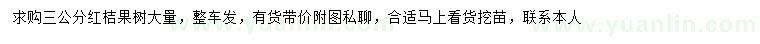 求購3公分紅桔果樹