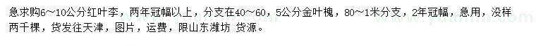 求購6-10公分紅葉李、5公分金葉槐