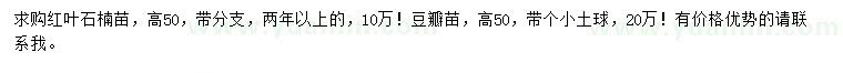 求購(gòu)高50公分紅葉石楠