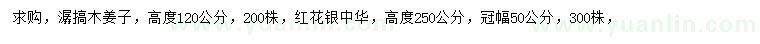 求購高120公分潺槁木姜子、250公分紅花銀樺