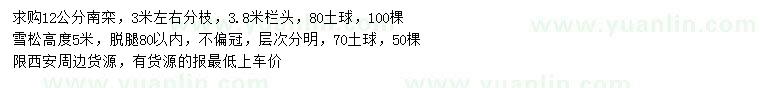 求購12公分南欒、高5米雪松