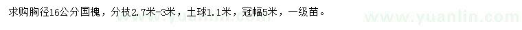 求購胸徑16公分國槐